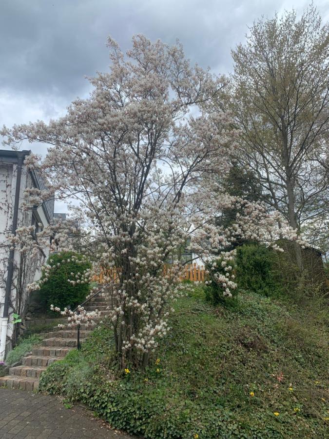 Ferienwohnung Emma 올스버그 외부 사진
